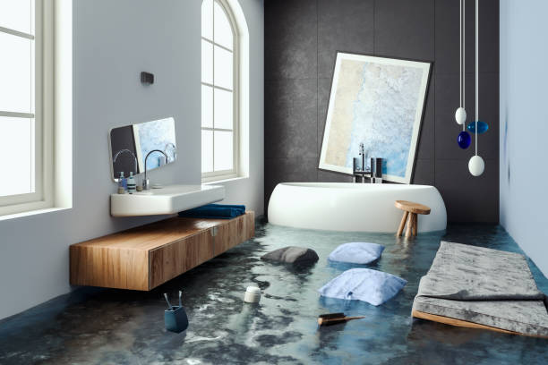 Best Mold removal after water damage  in Fort Mohave, AZ