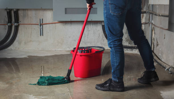 Best Flooded house restoration  in Fort Mohave, AZ