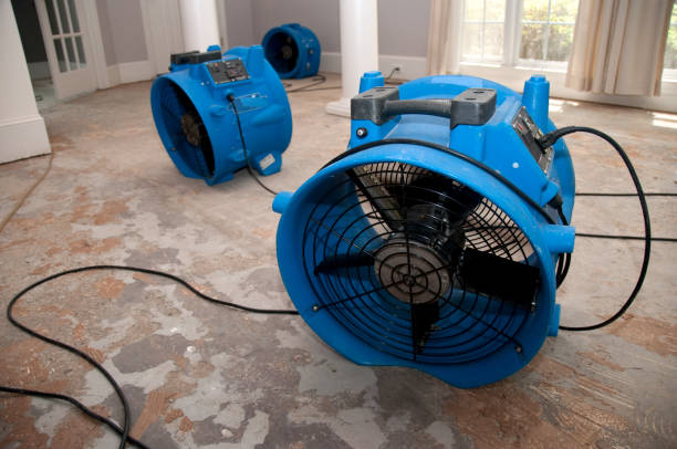 Water damage restoration experts in AZ