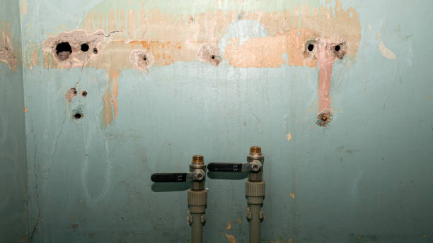 Best Ceiling water damage repair  in Fort Mohave, AZ