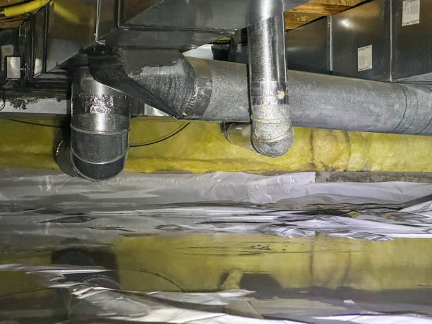 Best Local water damage restoration  in Fort Mohave, AZ