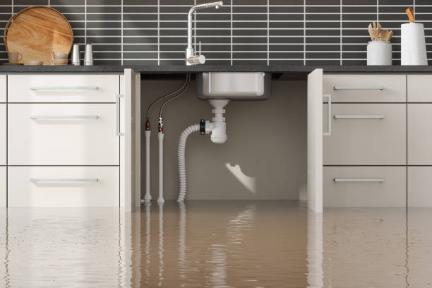 Best Flood restoration services  in Fort Mohave, AZ