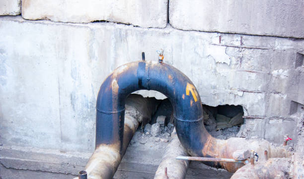 Best 24/7 water damage repair  in Fort Mohave, AZ