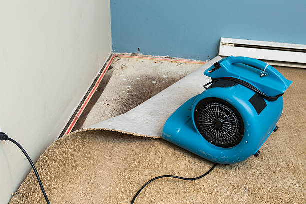 Best Water damage restoration cost  in Fort Mohave, AZ